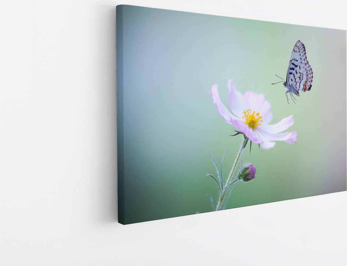 Saammp Canvas Schilderij - Vlinder - Bloemen - Dieren - Natuur - 90x60 - Foto op canvas - Wanddecoratie - muurdecoratie Woonkamer - Slaapkamer decoratie - Canvas Print Multicolor