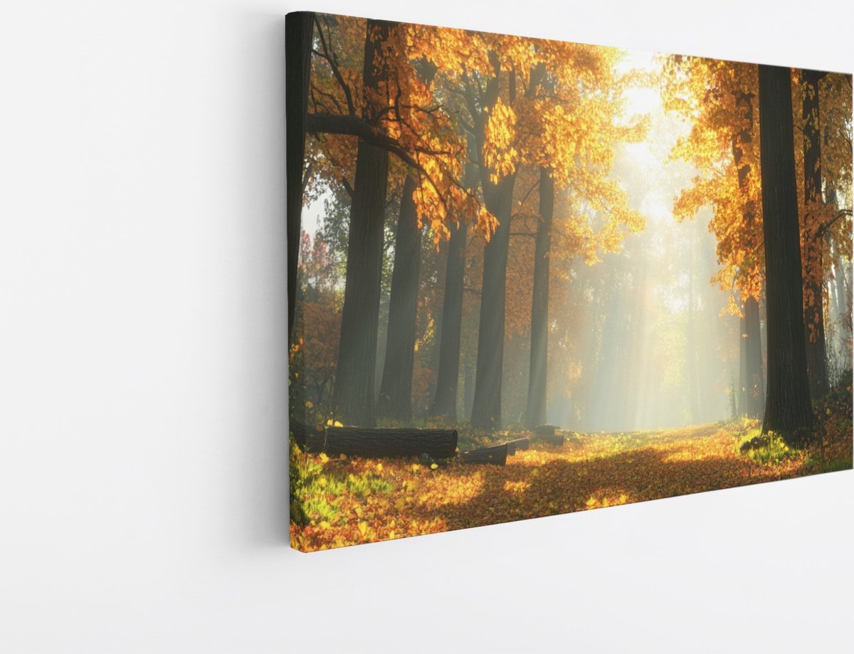 Saammp Canvas Schilderij - pad tussen de hoge bomen - Natuur - Landschap - 90x60 - Foto op canvas - Wanddecoratie - Muurdecoratie Woonkamer - Slaapkamer decoratie - Canvas Print Multicolor