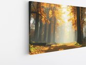Saammp Canvas Schilderij - pad tussen de hoge bomen - Natuur - Landschap - 90x60 - Foto op canvas - Wanddecoratie - Muurdecoratie Woonkamer - Slaapkamer decoratie - Canvas Print