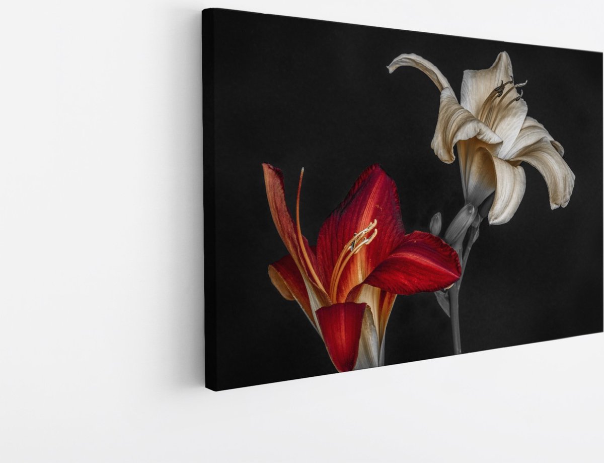 Saammp Canvas Schilderij - Bloemen - Natuur - 150x100 - Foto op canvas - Wanddecoratie - Muurdecoratie Woonkamer - Kantoor Decoratie Multicolor