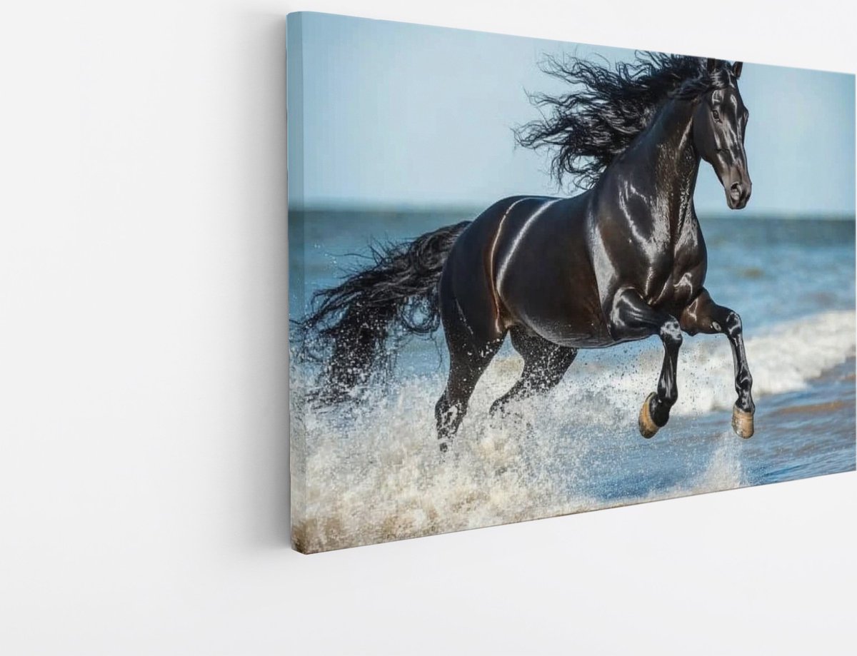 Saammp Canvas Schilderij - Paard in de zee- Dieren - Natuur - 100x75 - Foto op canvas - Wanddecoratie - muurdecoratie Woonkamer - Slaapkamer decoratie - Canvas Print Multicolor