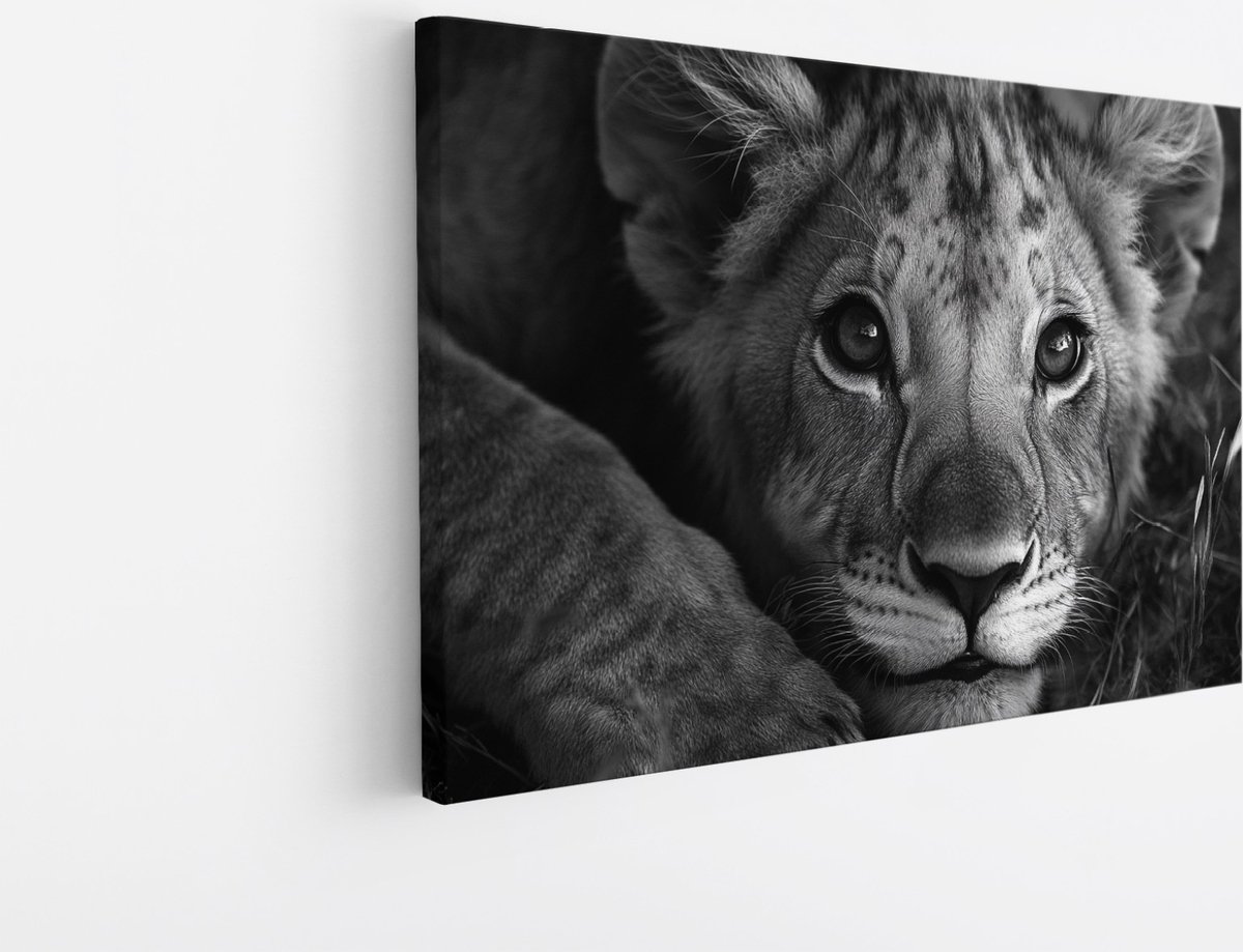 Saammp Canvas Schilderij - Schattige Leeuwen Welp - Dieren - Natuur - 90x60 - Foto op canvas - Wanddecoratie - Muurdecoratie Woonkamer - Slaapkamer decoratie - Canvas Print Multicolor