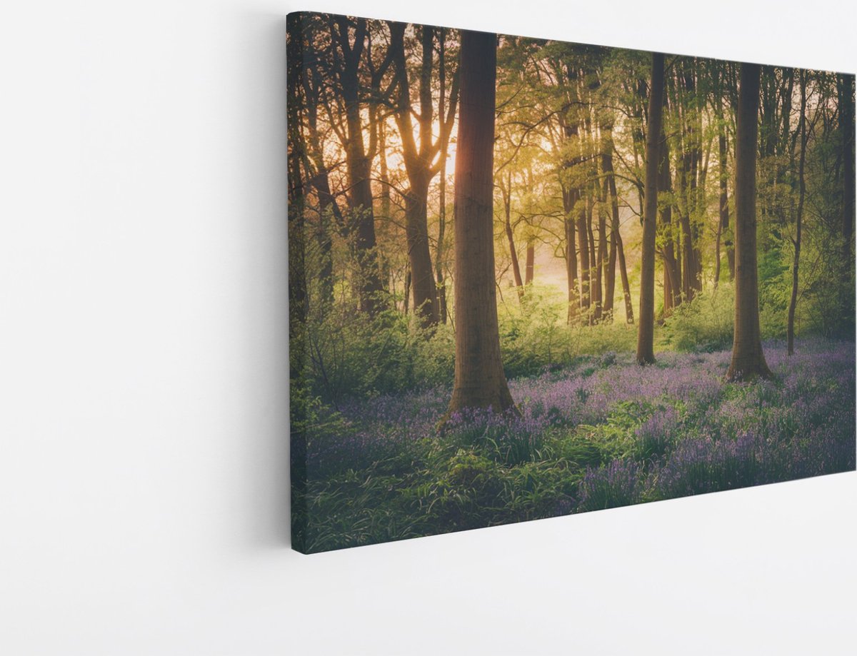 Saammp Canvas Schilderij - Bos met lavendel - Landschap - Natuur - 70x50 - Foto op canvas - Wanddecoratie - Muurdecoratie Woonkamer - Slaapkamer decoratie - Canvas Print Multicolor