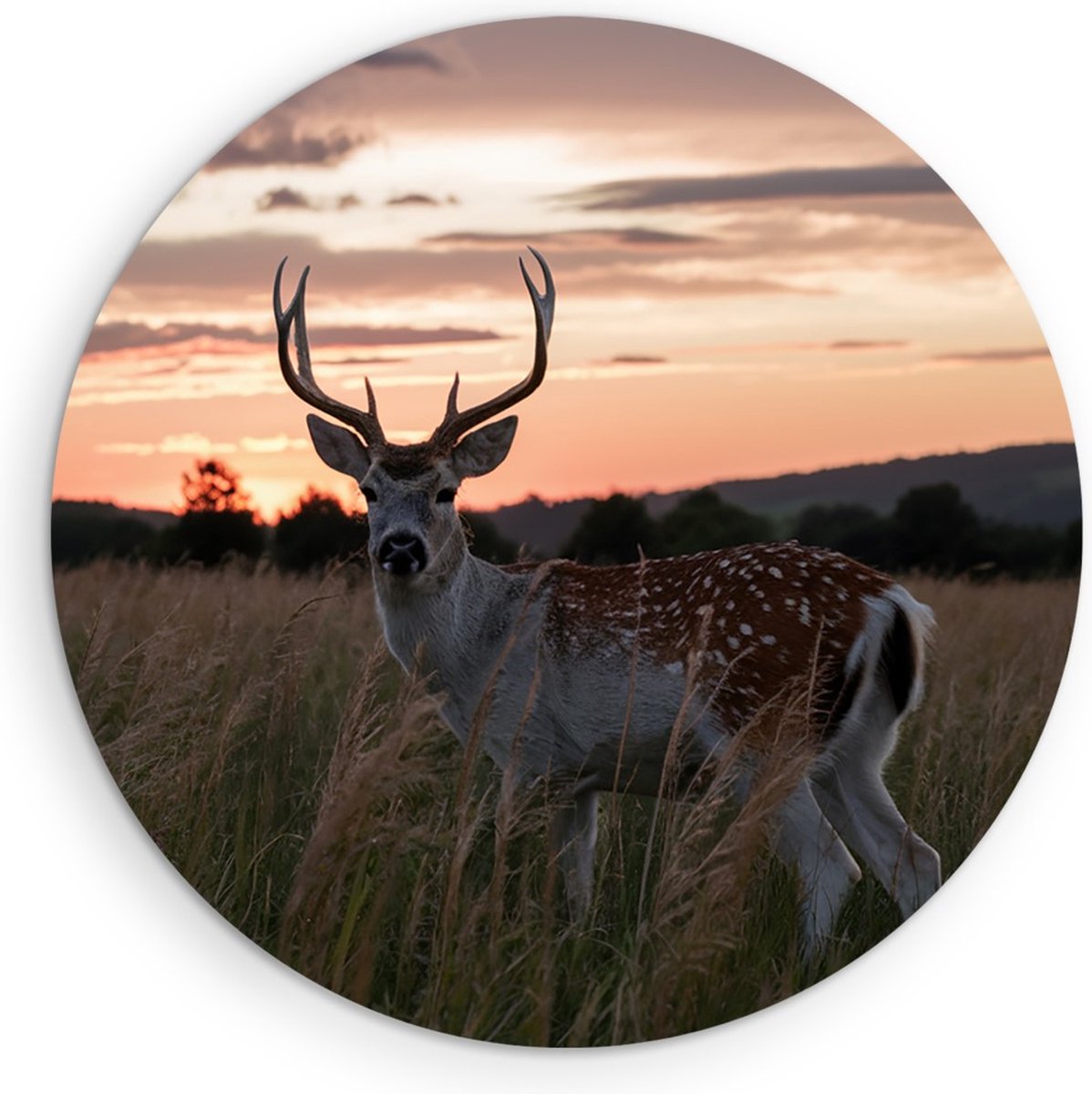 Saammp Muurcirkel Hout - jong hert met zonsondergang - Natuur - Dieren - Ø 70 - Wandcirkel
