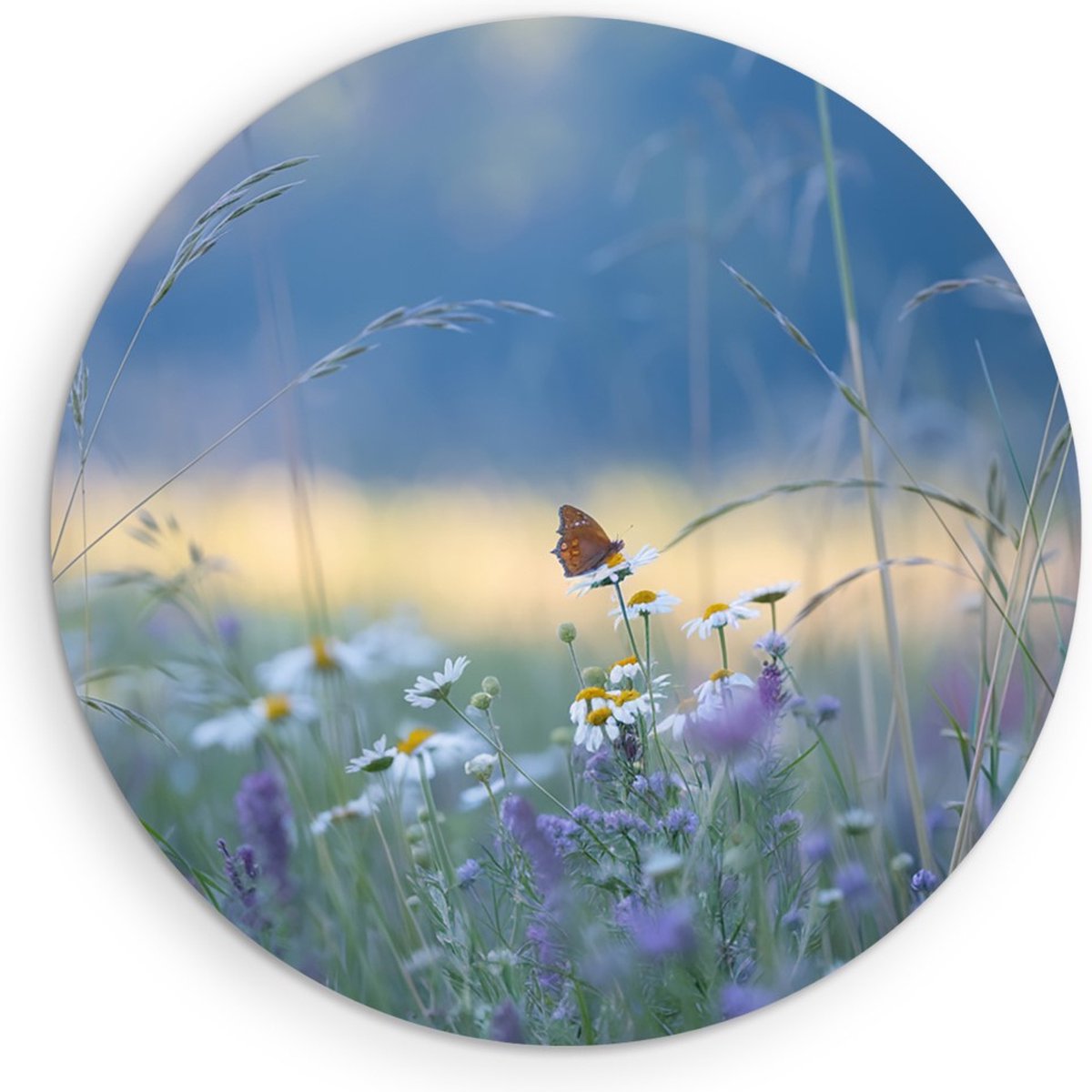 Saammp Forex Muurcirkel - Vlinder - kleurrijk bloemenveld - Dieren - Natuur - Ø 60 - Wandcirkel - Wanddecoratie Cirkel - muurdecoratie Woonkamer - Slaapkamer decoratie - Rond Schilderij
