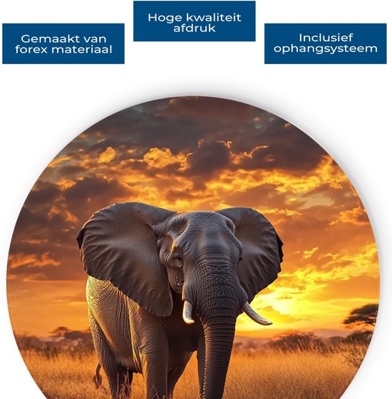 Olifant in de savanne bij zonsondergang, met tekst 'Hoge kwaliteit afdruk'.