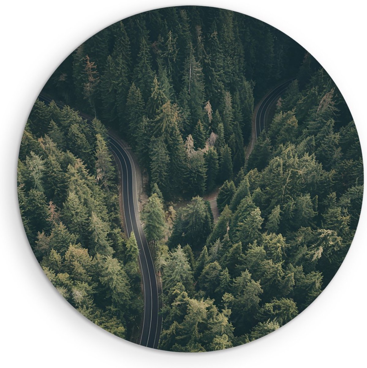 Saammp Forex Muurcirkel - Weg tussen de bomen door - Natuur - Ø 30 - Wandcirkel - Wanddecoratie Cirkel - Muurdecoratie Woonkamer - Slaapkamer decoratie - Rond Schilderij