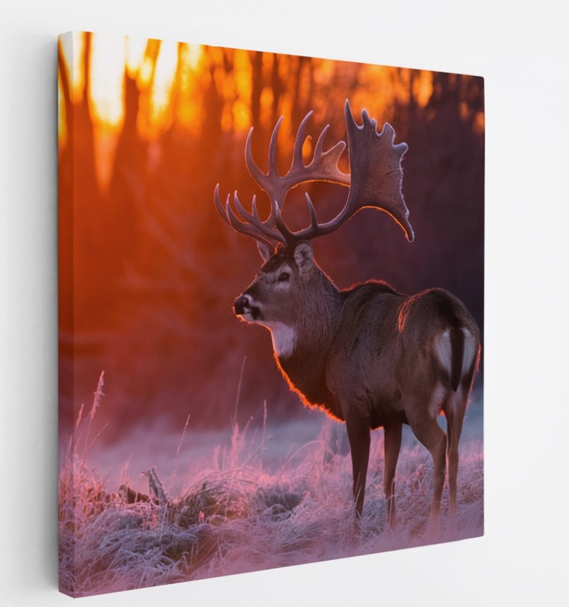 Saammp Canvas Schilderij - Hert - Portret - Winter - Natuur - Dieren - 30x30 - Foto op canvas - Wanddecoratie - Muurdecoratie Woonkamer - Slaapkamer decoratie - Canvas Print Multicolor