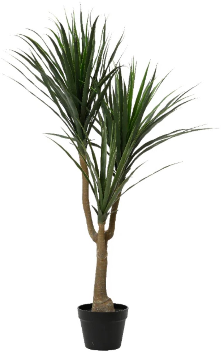 HEM Levensechte Kunstplant Dracaena 120 cm – Levensechte Groene Kunstboom met Pot – Hoogwaardige Kamerplant voor Interieurdecoratie