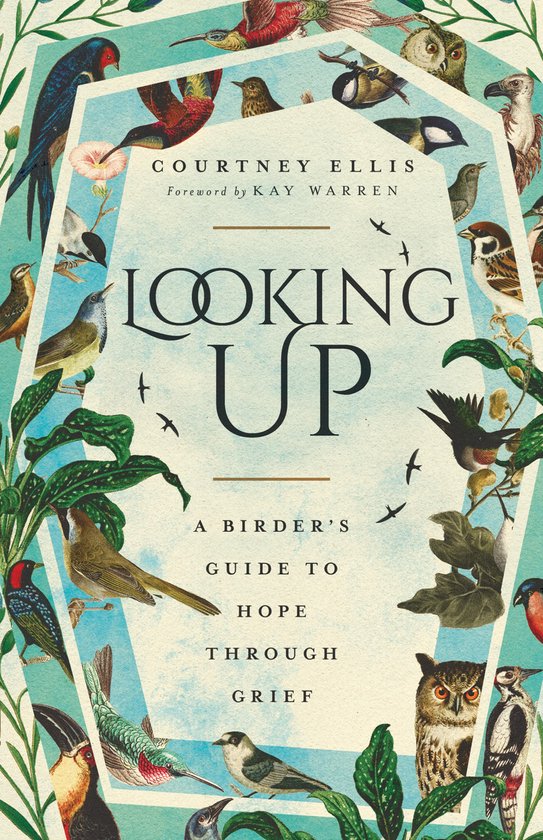 Looking Up - cover