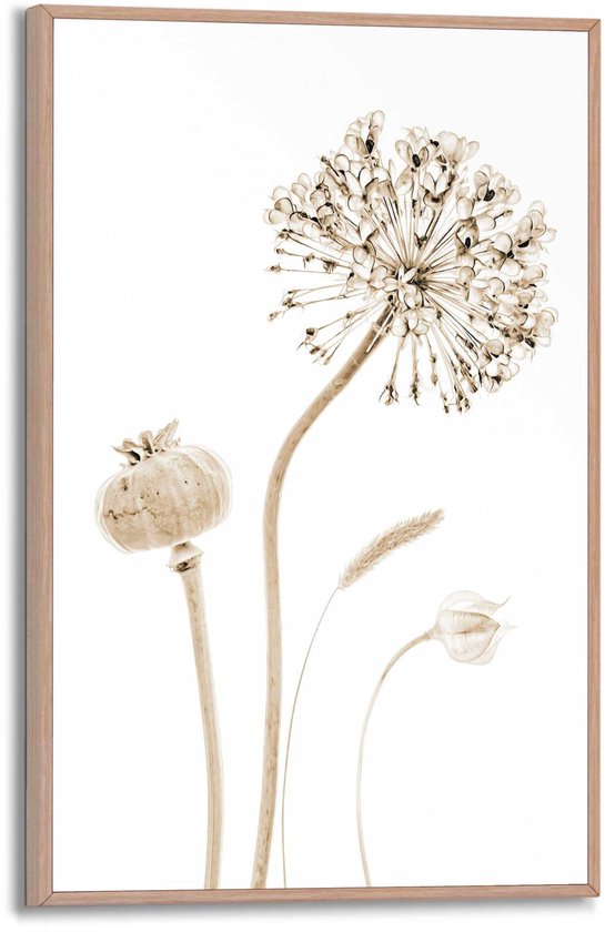 Reinders Schilderij Droogbloemen - 30x20cm - Hout - REINDERS
