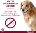 Golden Retriever met tekst "Vector overgedragen ziekten. Vermindert het risico op door teken overgedragen ehrlichiose."