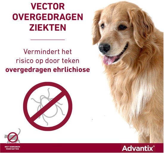 Golden Retriever met tekst "Vector overgedragen ziekten. Vermindert het risico op door teken overgedragen ehrlichiose."