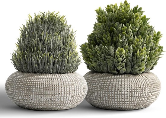 T4U Kunstplanten Mini Vetplanten Set Van 6, Kunstplant In Pot Voor Drukke Mensen En Studenten, Voor Bureau Woonkamer En Slaapkamer, Zonder Onderhoud