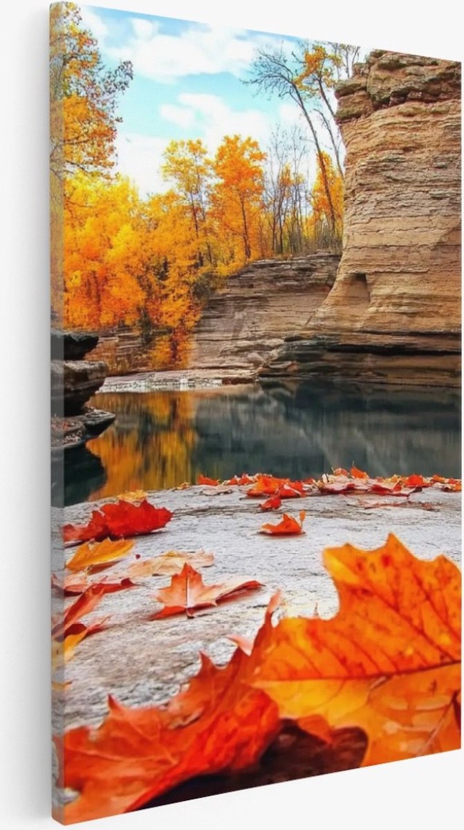 Saammp Canvas Schilderij - Rode Bladeren op steen - Natuur - Landschap - 50x70 - Foto op canvas - Wanddecoratie - Muurdecoratie Woonkamer - Slaapkamer decoratie - Canvas Print Multicolor