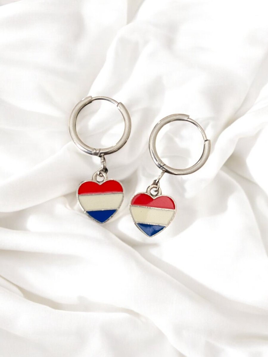 Hiden - Sieraad Oorbellen - Oorknopjes - Oorringen - Sieraden - Moederdag Cadeau - Oorbellen - Mode - Nederland