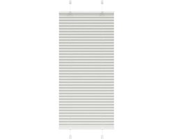 vidaXL - Plissé - rolgordijn - 65x100 - cm - stofbreedte - 64,4 - cm - polyester