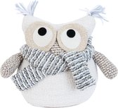 Uil 24*15*22 cm Wit | TW0400 | Clayre & Eef