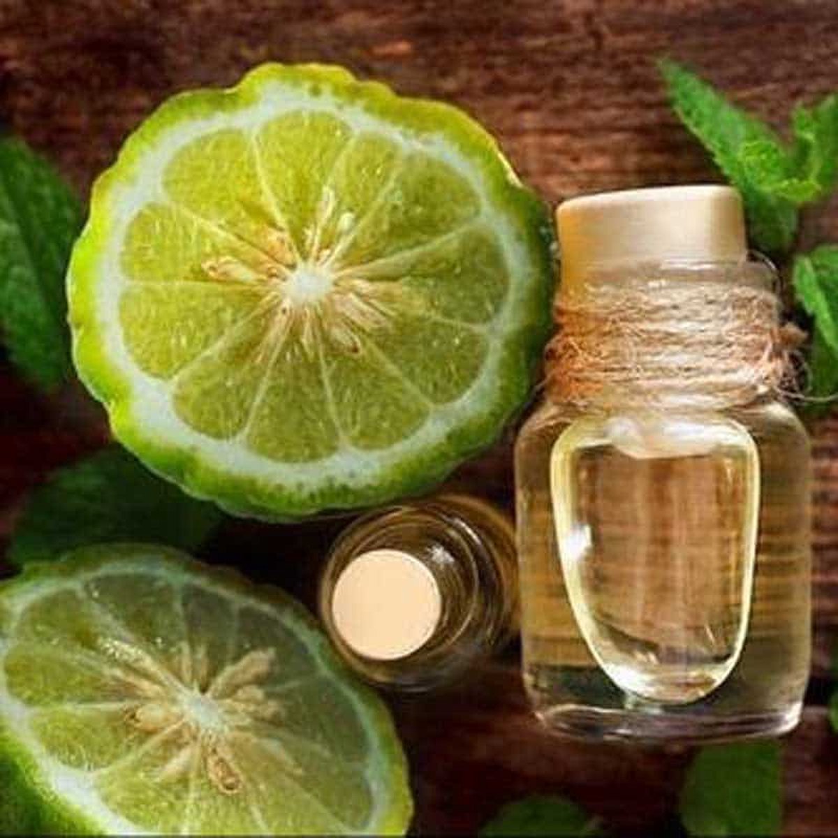 Bergamot Etherische Olie - 10 ml