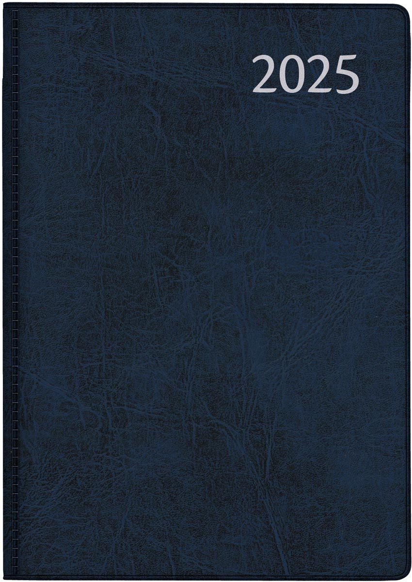 Aurora Classic 600 Alaska, geassorteerde kleuren, 2025 10 stuks