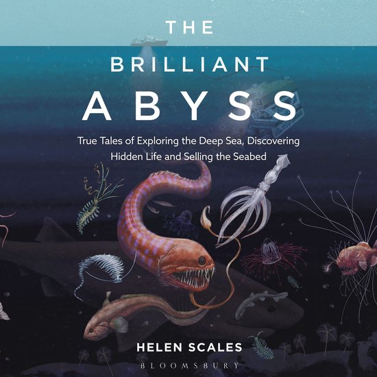 The Brilliant Abyss - cover