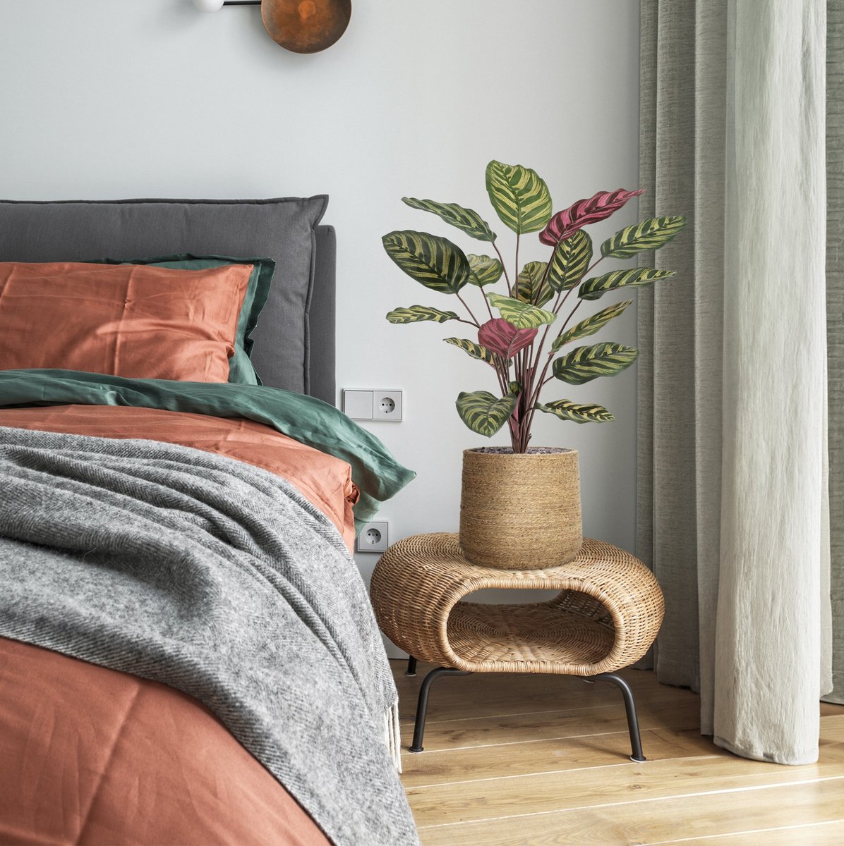maxifleur Kunstplanten Red Calathea Makoyana FR Kunstplant 60cm groen