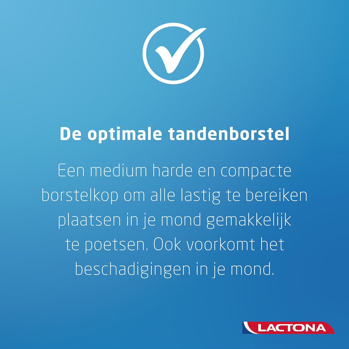 Lactona iQ+ Medium - Tandenborstel - Medium hard - 1 stuks