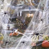 Equivera Spinnenweb Halloween Decoratie - 600 m2 - Inclusief 30 Spinnen - Halloween Versiering - Halloween Decoratie Buiten
