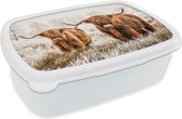 Broodtrommel Wit - Lunchbox - Brooddoos - Schotse hooglander - Koe - Natuur - Winter - 18x12x6 cm - Volwassenen