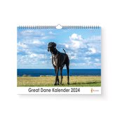 Kalender 2024 - Great Dane - 35x24cm - 300gms - Spiraalgebonden - Inclusief ophanghaak