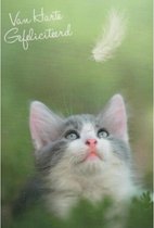 Van harte gefeliciteerd met je verjaardag! Een kaart voor de echte poezenliefhebbers. Een schattige kat die omhoog kijkt. Een leuke kaart om zo te geven of om bij een cadeau te voegen. Een dubbele wenskaart inclusief envelop en in folie verpakt.