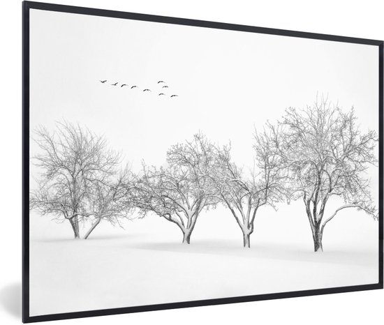 Fotolijst incl. Poster Zwart Wit- Bomen - Zwart wit - Natuur - Vogels - 30x20 cm - Posterlijst