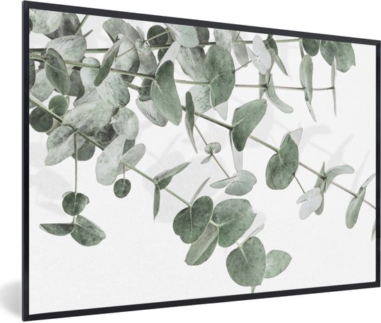 Fotolijst incl. Poster - Eucalyptus - Bladeren - Natuur - Groen - 30x20 cm - Posterlijst