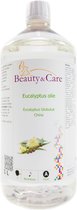 Beauty & Care - Eucalyptus etherische olie - 1 L. new