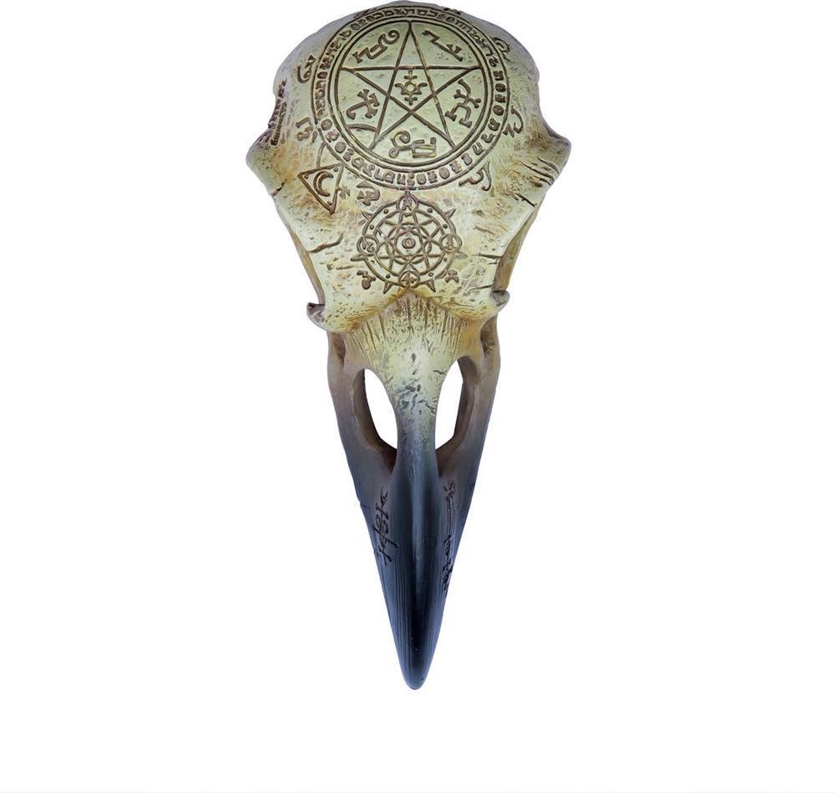 Alchemy - OMEGA RAVEN SKULL Beeld/figuur - Creme
