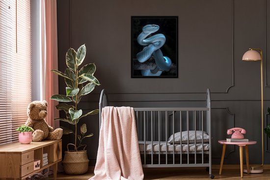 Affiche avec cadre Serpent bleu - 60x80 cm