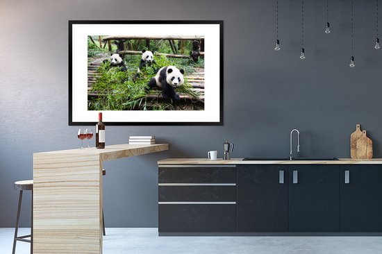 Jeunes pandas mangeant 120x80 cm