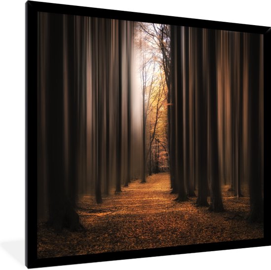 Affiche avec cadre Illusions - Forêt - Rouge - 40x40 cm