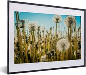 Fotolijst incl. Poster - Bloemen - Paardenbloem - Grasveld - 40x30 cm - Posterlijst