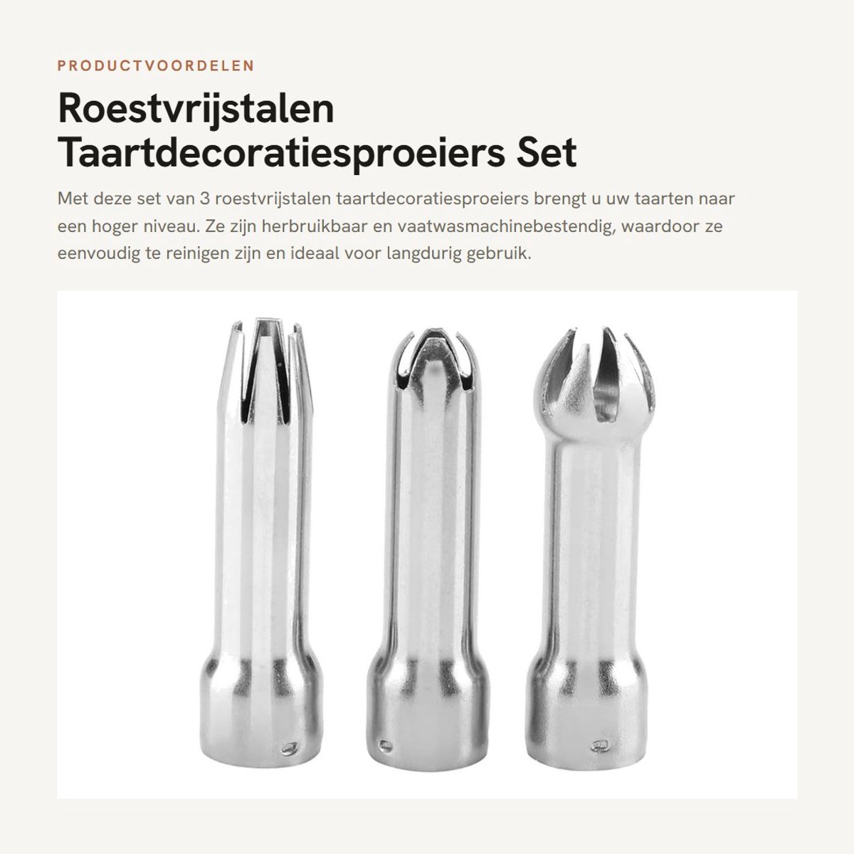 Dailygoods- Taartdecoratiesproeiers Set - 3 Stuks - Roestvrij Staal - Herbruikbare Spuitmondstukken - Vaatwasmachinebestendig - Zilver - Spuitmondjes