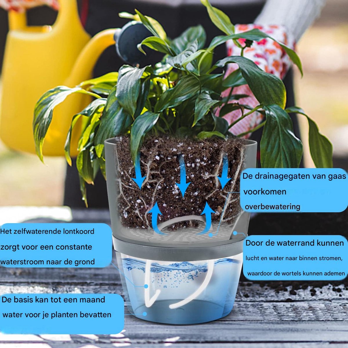 carmdering - Zelfwaterende Bloempot - Automatische Plantenbak - Binnen En Buiten Pot - Transparant Waterpeil - Katoenen Docht Systeem - Duurzaam PP Kunststof - Vorstbestendig Design - Ideaal Voor Drukke levensstijl - 3 Stuks — cadeau in Wonen & Interieur - foto 4