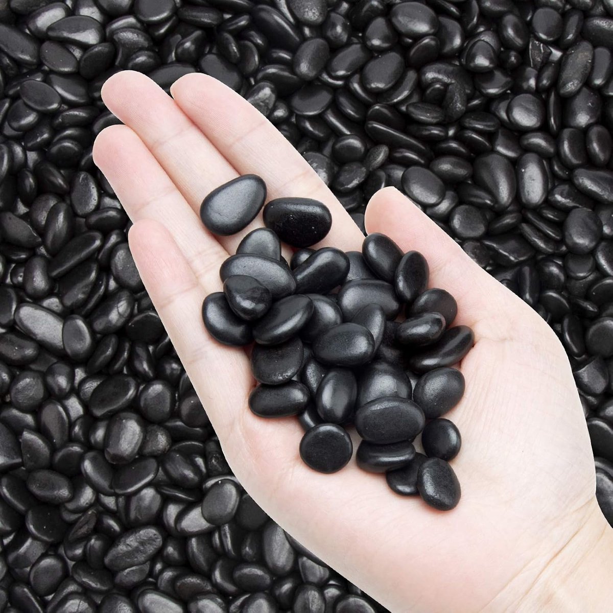 Decoratieve Kiezels - Natuursteen Grind - Planten Decoratie - Glad Gepolijst Oppervlak - 3/8 Inch - Zwart