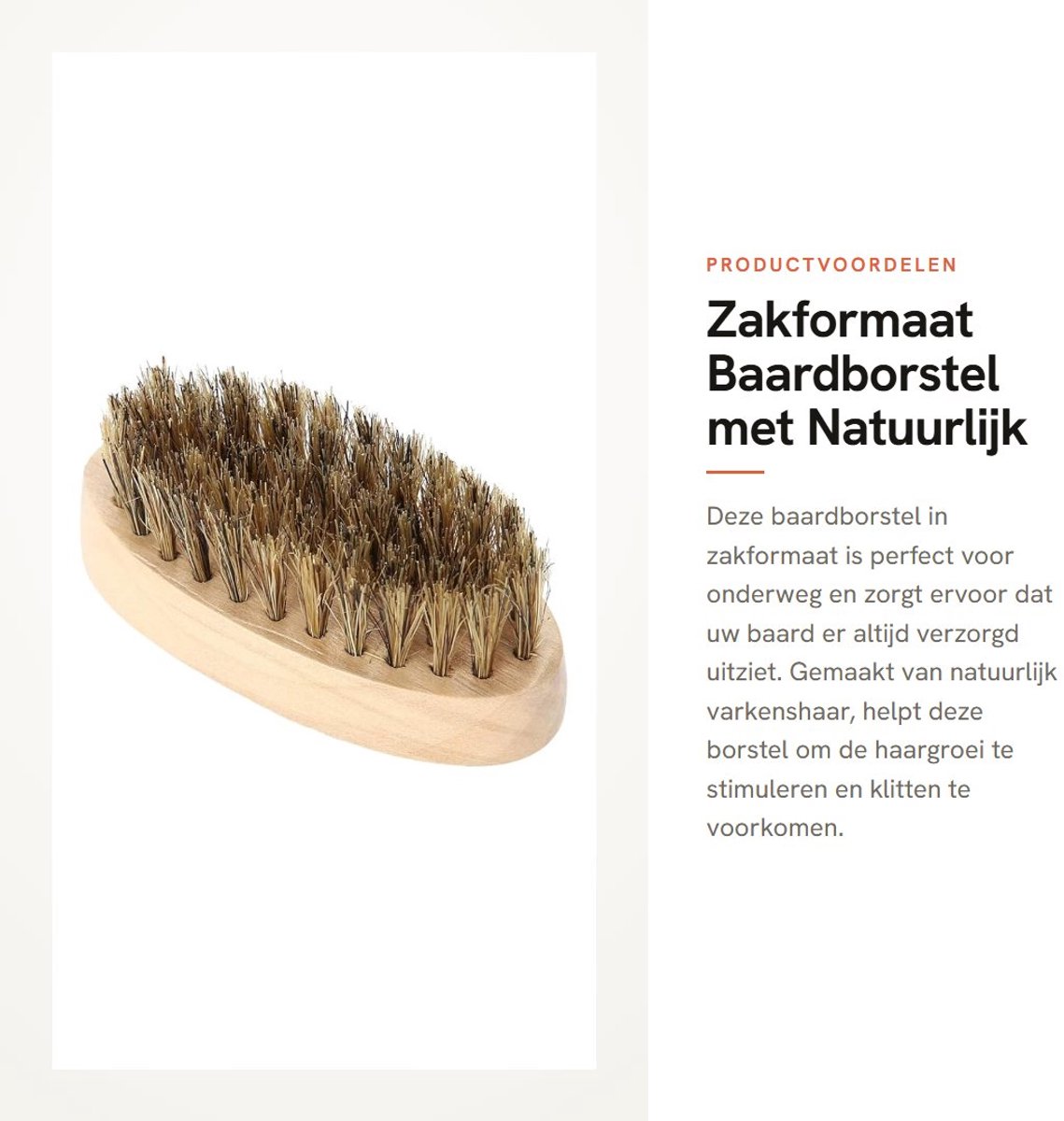 Dailygoods- Baardborstel Medium Stevigheid - Zakformaat - Snorborstel - Reisvriendelijk - Natuurlijk Varkenshaar - Baardvormer met Handvat
