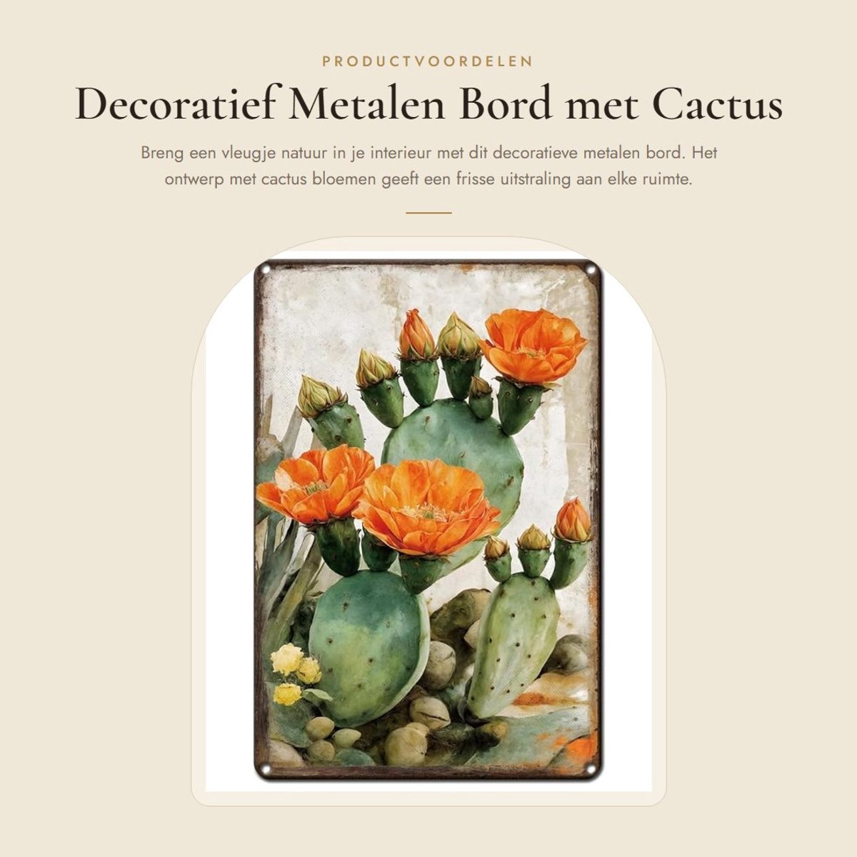 Dailygoods- Metalen Bord Cactus Bloemen - Decoratieve Wanddecoratie - Tuin/Café/Slaapkamer - 20 x 30 cm - IJzeren Poster - Muurkunst Decoratie - Muurdecoratie