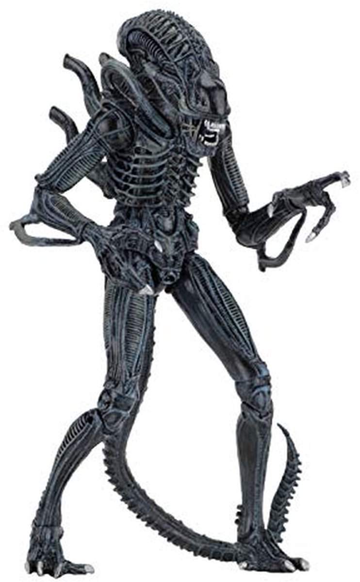 Verzamel figuur - Actie figuur - Hobby en decoratie - Officieel gelicentieerd - 18 cm - Blauw