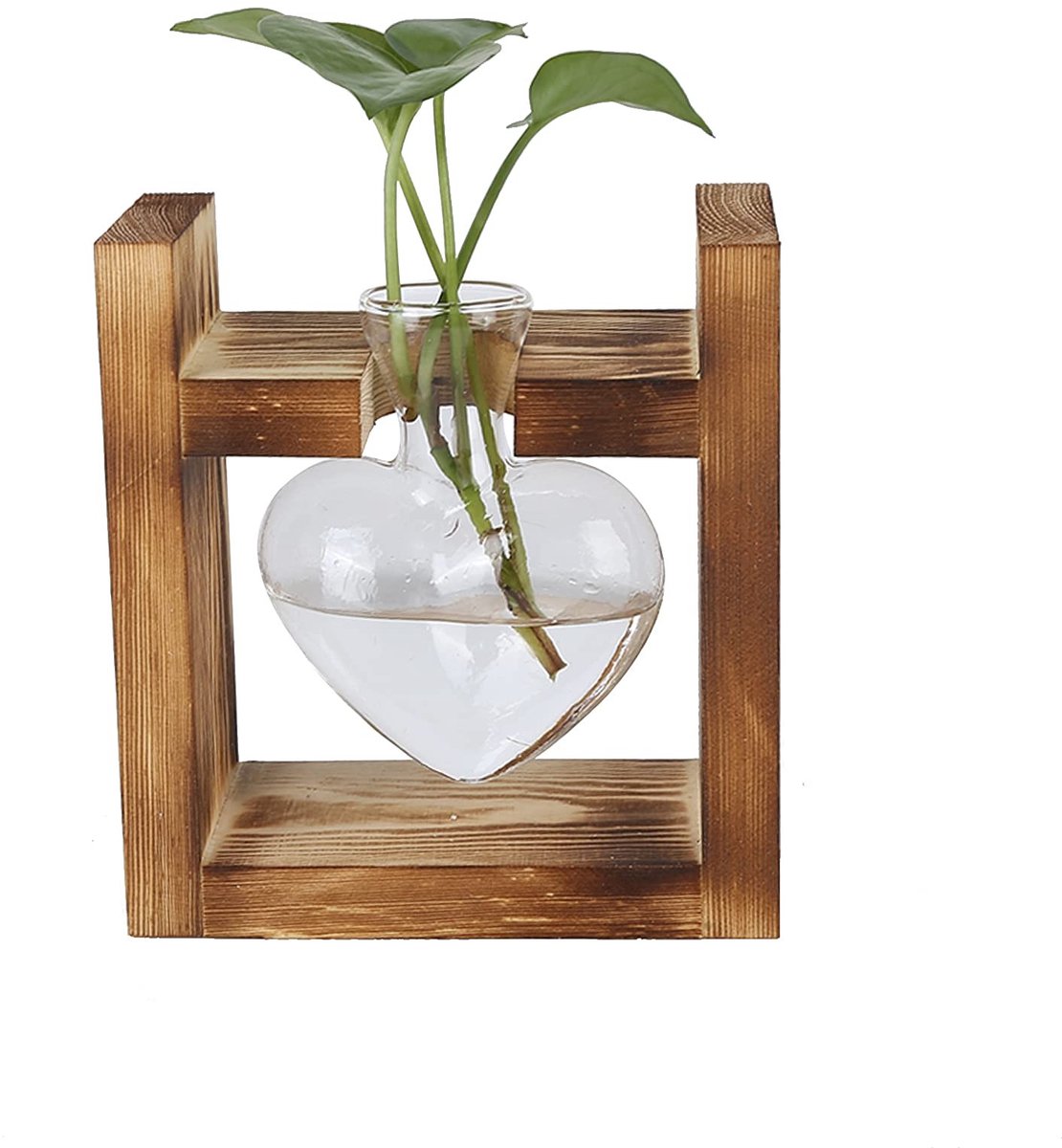Dailygoods- Plantenterrarium Hartvormig - Bloemenvaas Borosilicaatglas - Houten Standaard - Hydrocultuurplanten - Bureaudecoratie - 1/2/3 Glazen Flessen