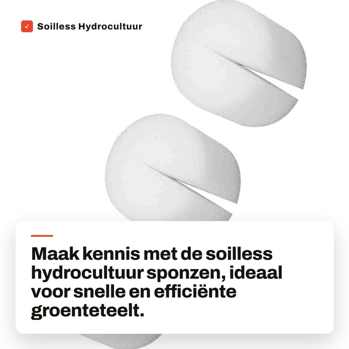 Dailygoods- Hydrocultuur Sponzen 50 Stuks - Soilless Teelt - Groenteteelt - Tuingereedschap - Plantengroei - Hygiënisch en Ruimtebesparend - Teeltspons