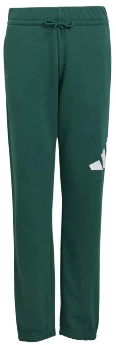 Adidas Essentials Big Logo French Terry Joggers 15-16 Years Kinderen Groen