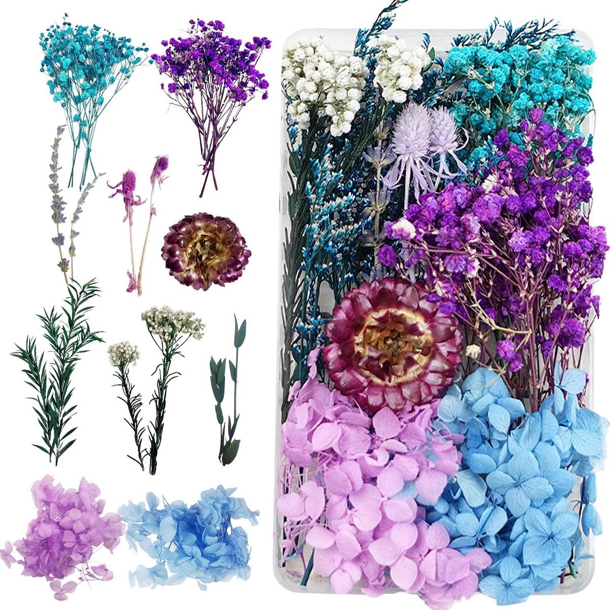 Drogen Bloemen voor Hars, Natuurlijke Gedroogde Bloemen voor Ambachten, Sieraden en Kaarse