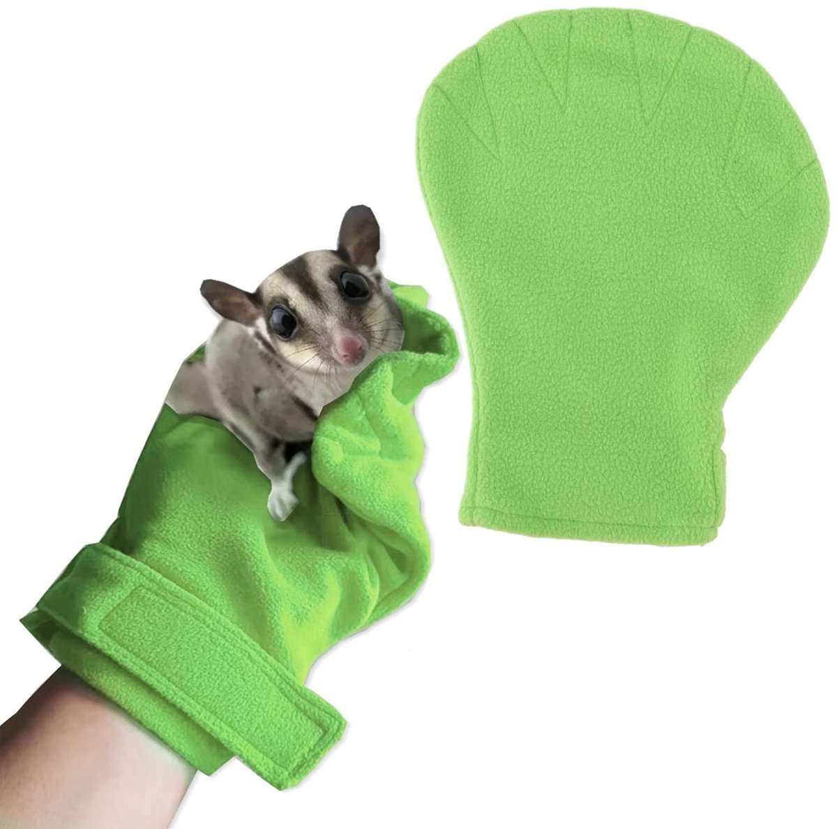 Allecto - Calming Glove voor Kleine Dieren - Anti-Bijt Handschoen - Ideaal voor Sugar Gliders - Dierenverzorging - Veiligheid - Comfort - Geschikt ...